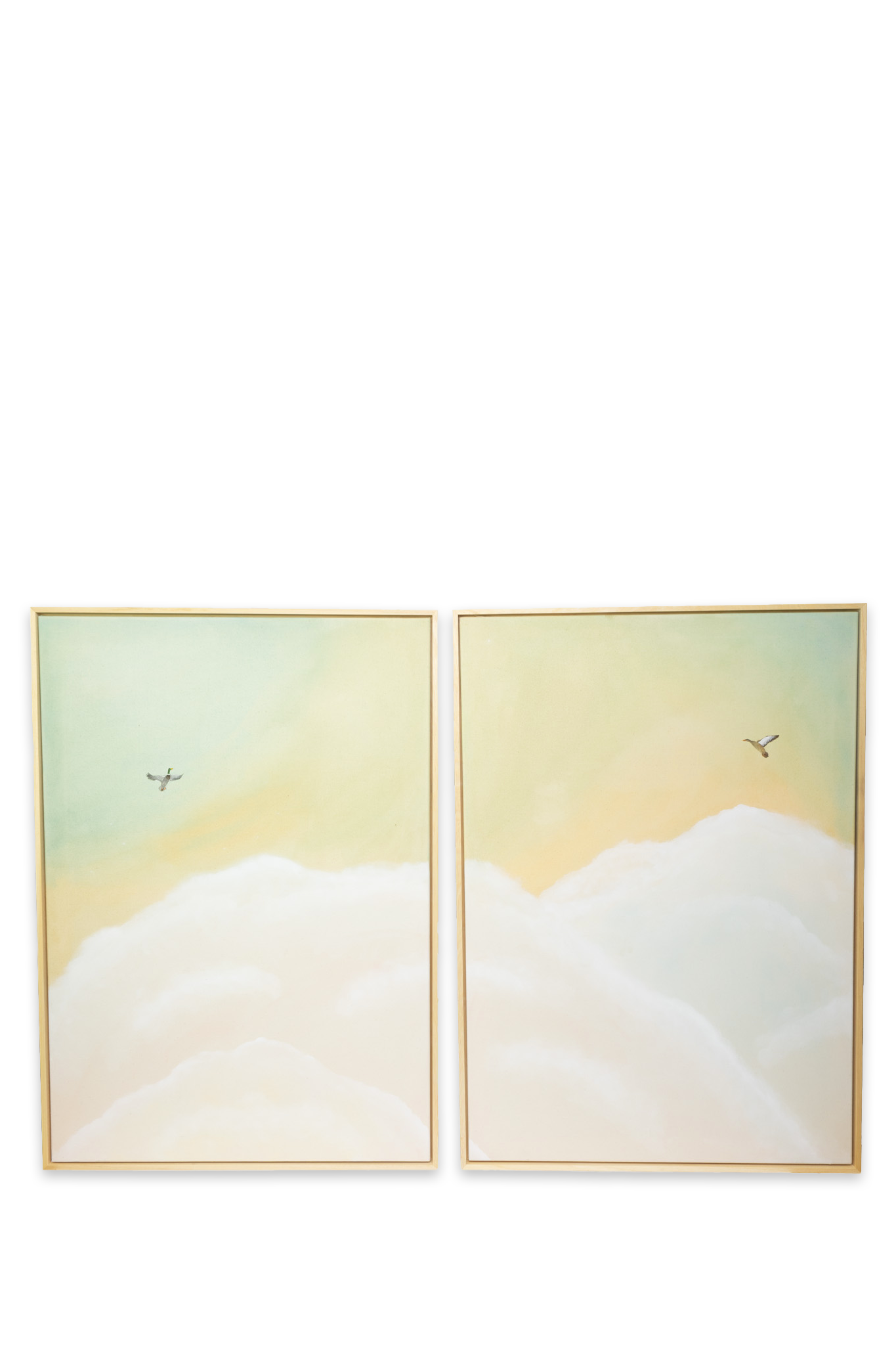 Duo in Flight | 2x 100 x 70 cm